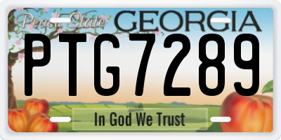 GA license plate PTG7289