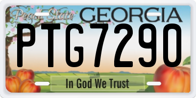 GA license plate PTG7290