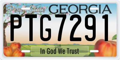 GA license plate PTG7291