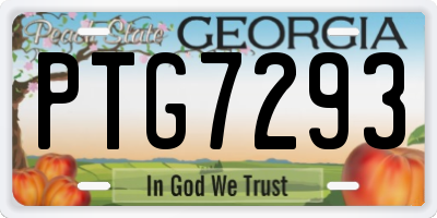 GA license plate PTG7293