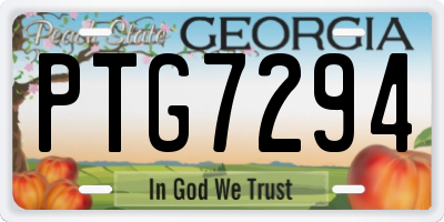 GA license plate PTG7294
