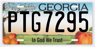GA license plate PTG7295