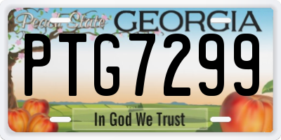 GA license plate PTG7299