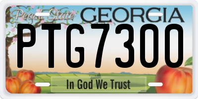 GA license plate PTG7300