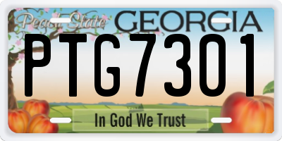 GA license plate PTG7301