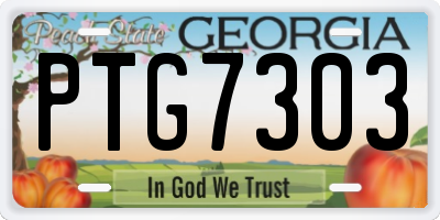 GA license plate PTG7303
