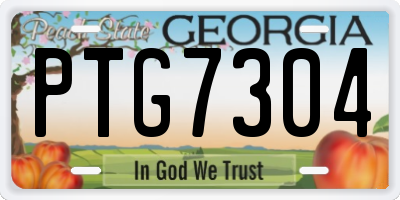 GA license plate PTG7304
