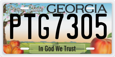 GA license plate PTG7305