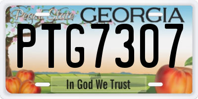 GA license plate PTG7307