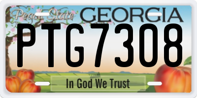 GA license plate PTG7308