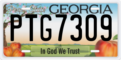 GA license plate PTG7309