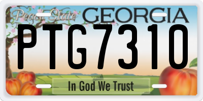 GA license plate PTG7310