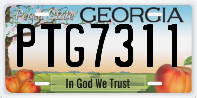 GA license plate PTG7311