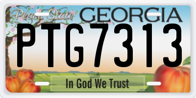 GA license plate PTG7313