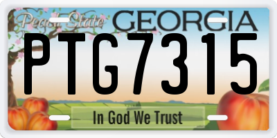 GA license plate PTG7315