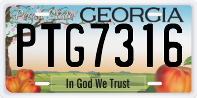 GA license plate PTG7316