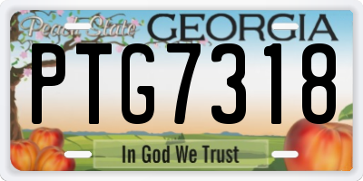 GA license plate PTG7318
