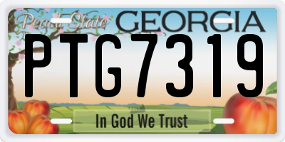 GA license plate PTG7319