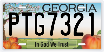 GA license plate PTG7321
