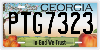 GA license plate PTG7323