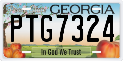 GA license plate PTG7324