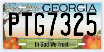 GA license plate PTG7325