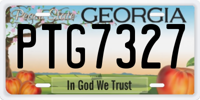 GA license plate PTG7327