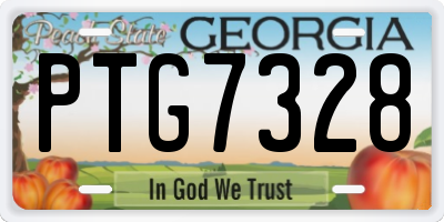 GA license plate PTG7328