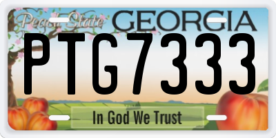 GA license plate PTG7333