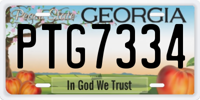 GA license plate PTG7334