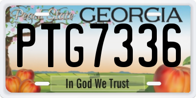 GA license plate PTG7336