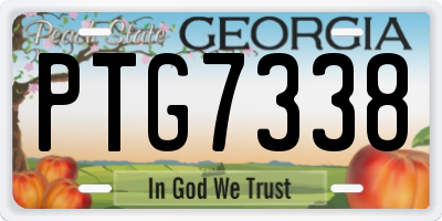GA license plate PTG7338