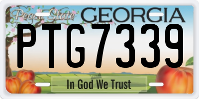 GA license plate PTG7339