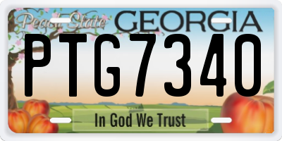 GA license plate PTG7340