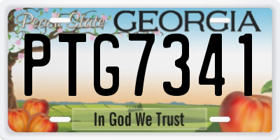 GA license plate PTG7341
