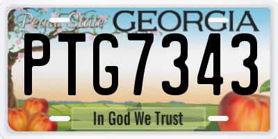 GA license plate PTG7343