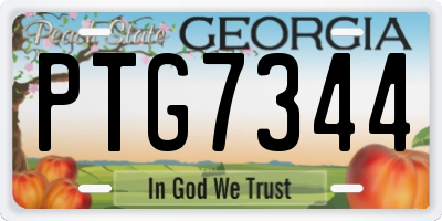 GA license plate PTG7344