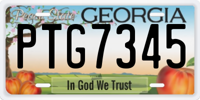 GA license plate PTG7345