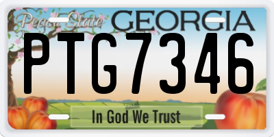 GA license plate PTG7346