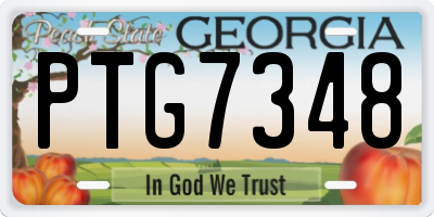 GA license plate PTG7348