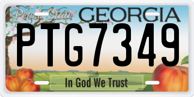 GA license plate PTG7349