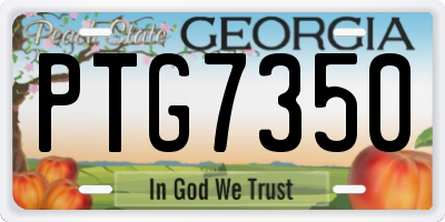 GA license plate PTG7350