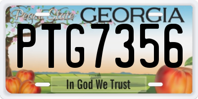 GA license plate PTG7356