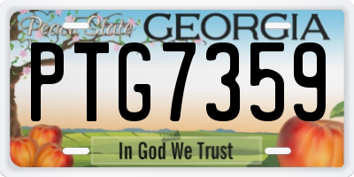 GA license plate PTG7359