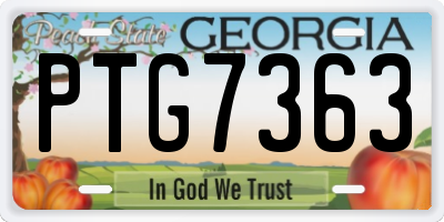 GA license plate PTG7363