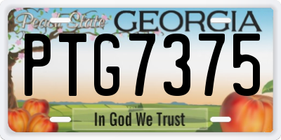 GA license plate PTG7375