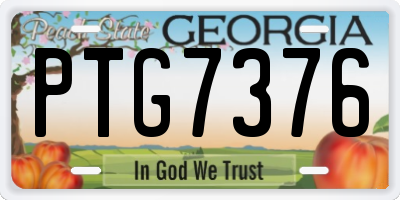 GA license plate PTG7376