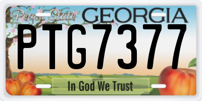 GA license plate PTG7377