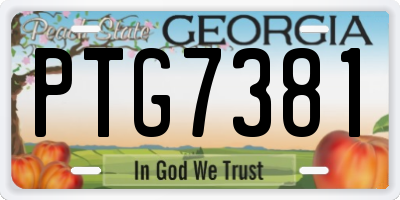 GA license plate PTG7381