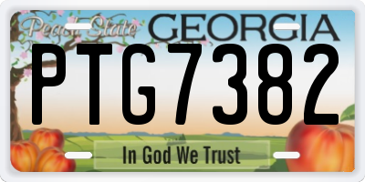 GA license plate PTG7382